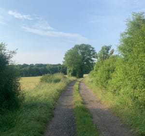 Chemin de randonnées - Vaudeville - 2