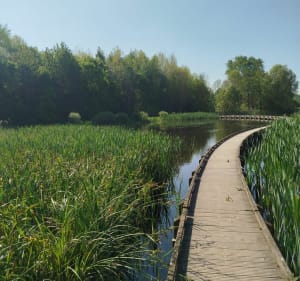 Joli parcours aux abords de Santes - Santes - 2