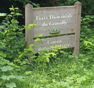 Grand tour du Saint Quentin - Scy-Chazelles - 2