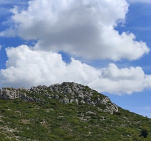 Sentier de trail dans le nord d'Aubagne - Aubagne - 3