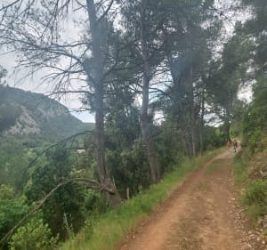 Balade depuis Bize-Minervois - Bize-Minervois - 2