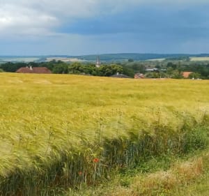 Boucle de Charny-sur-Meuse à Bras-sur-Meuse - MARYVONNE - 3