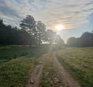11 km szosą, lasem, szutrem - Węsiory - 2