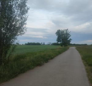 Szybka piątka - Wrocław - 2