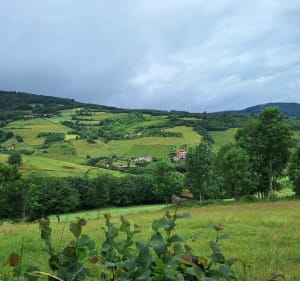 Randonnée en passant par le col de la Croix de Marchampt - Marchampt - 2