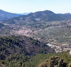Le sentier botanique - Buis-les-Baronnies - 2