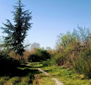 VTT pour les amateurs à Montech - Montech - 2