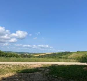 Balade dans le vignoble Auxerrois - Aimy - 3