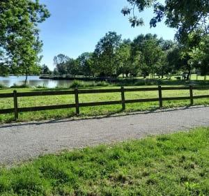 Le chemin de Saint-Clément N 7 - Cabariot - 2