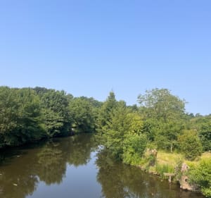 Les chemins du Layon - Val-du-Layon - 2