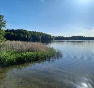 Nad jeziorem Nadrowskim - Huta - 2