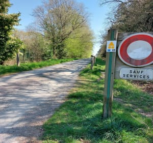 Circuit VTT numéro 7 - Forêt de Liffré - Liffré - 2
