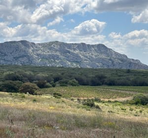 Autour du château d’Aguilar - Tuchan - 3