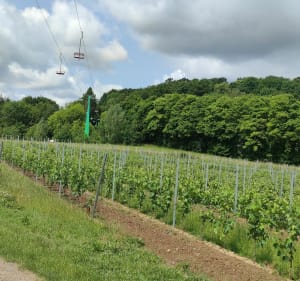 La bière tour depuis Bailleul - Bailleul - 2