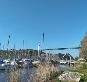 Rives de Vilaine et les deux ponts - La Roche-Bernard - 2