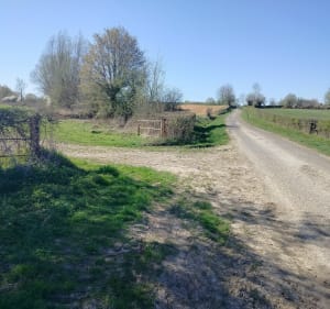 Marche jusque Maroilles - Ludivine - 3