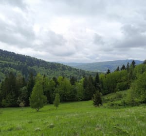 Spacerek po Prusowie - Agnieszka - 2