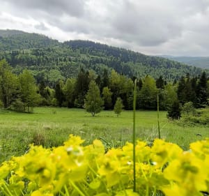 Spacerek po Prusowie - Milówka - 2