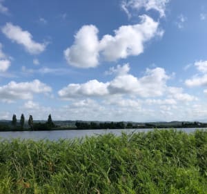 De Sainte-Marie-de-Gosse à Bayonne par l’Adour - Sainte-Marie-de-Gosse - 2