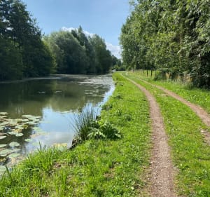 Entre Audomarois et Flandres - Tilques - 2