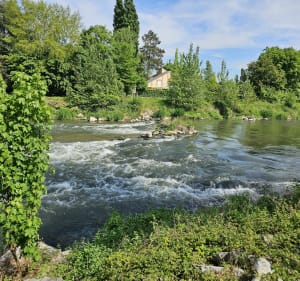 Balade en bord de l'Eure depuis Le Vaudreuil - Le Vaudreuil - 2