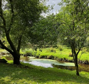 Questembert - sentier des popinettes - Questembert - 2