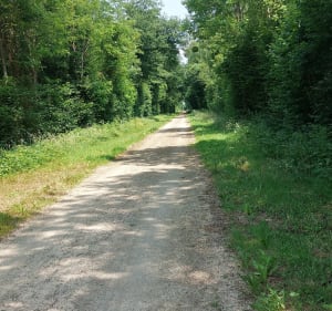 La voie verte Besse Sur Braye  à Montval-sur-Loir - Val-d'Étangson - 2