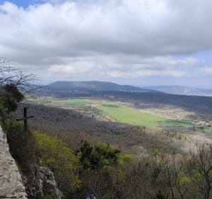 Forêt de la Saint Baume - Daniella - 4