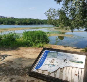 Belle balade en Bords de Seine - thierry - 2