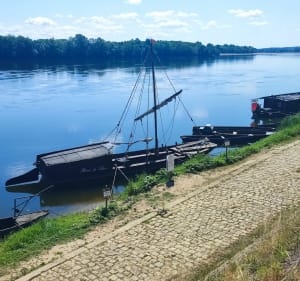 Boucle à partir de Gennes-Val-de-Loire, par la Saulnerie - Maxime - 4