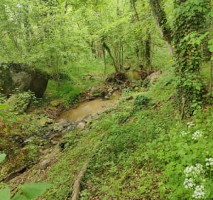 Paysages magnifiques de Cournols aux gorges de la Monne - Cournols - 2