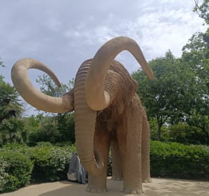 Une balade dans Barcelone - Barcelona - 2