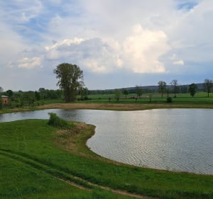 Grudziądz-Chełmno-Gdudziądz - BEATA - 2