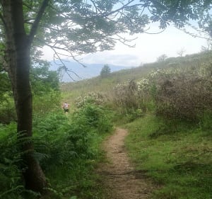 Tour de Goa, Pic de la Pena et Col de Jou - Vernet-les-Bains - 2