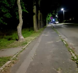 Trasa rowerowa po Tczewie - Katarzyna - 2