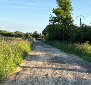 Chemin tortueux à Moussy-le-Vieux - Moussy-le-Vieux - 2