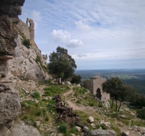 La Ronde du Château Montferrand - Saint-Mathieu-de-Tréviers - 3