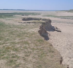 Pointe d'Agon au départ du camping les Mouettes - Agon-Coutainville - 2
