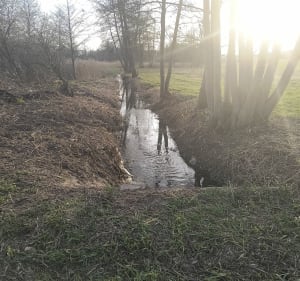 Spacer lasem w Trąbinku - Trąbinek - 2