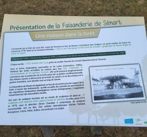 Balade en forêt de Sénart, quartier Bosserons à Brunoy - LAURENT - 4