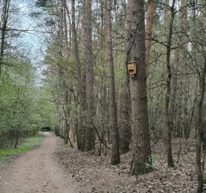 Spacer Umultowo - Różany Potok - Poznań - 2