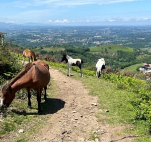 Le chemin des  sources Lturbide - BRUNO - 3