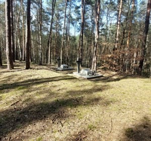 Miejsca pamięci narodowej : Widoń i Grzmiąca. - Przydatki Gołaszewskie - 2