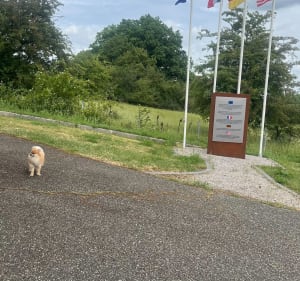 Circuit des 2 Chapelles et sentiers forestiers - Achen - 2