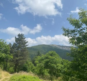 Camplong- Puy Durant et Chapelle Saint Sauveur - Laurence - 3