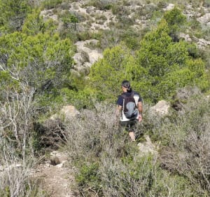 Fon de sa cala y Canyamel - Provensals - 2