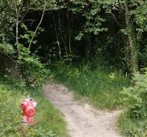 Guichen ses chemins et ses commerces - Guichen - 2