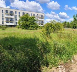 Osiedle adademickie - Bydgoszcz - 2