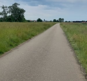 Randonnée autour du Hoerdt - Hœrdt - 2