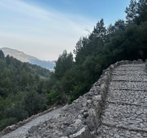 L’Ofre depuis la place de Soller - Sóller - 2